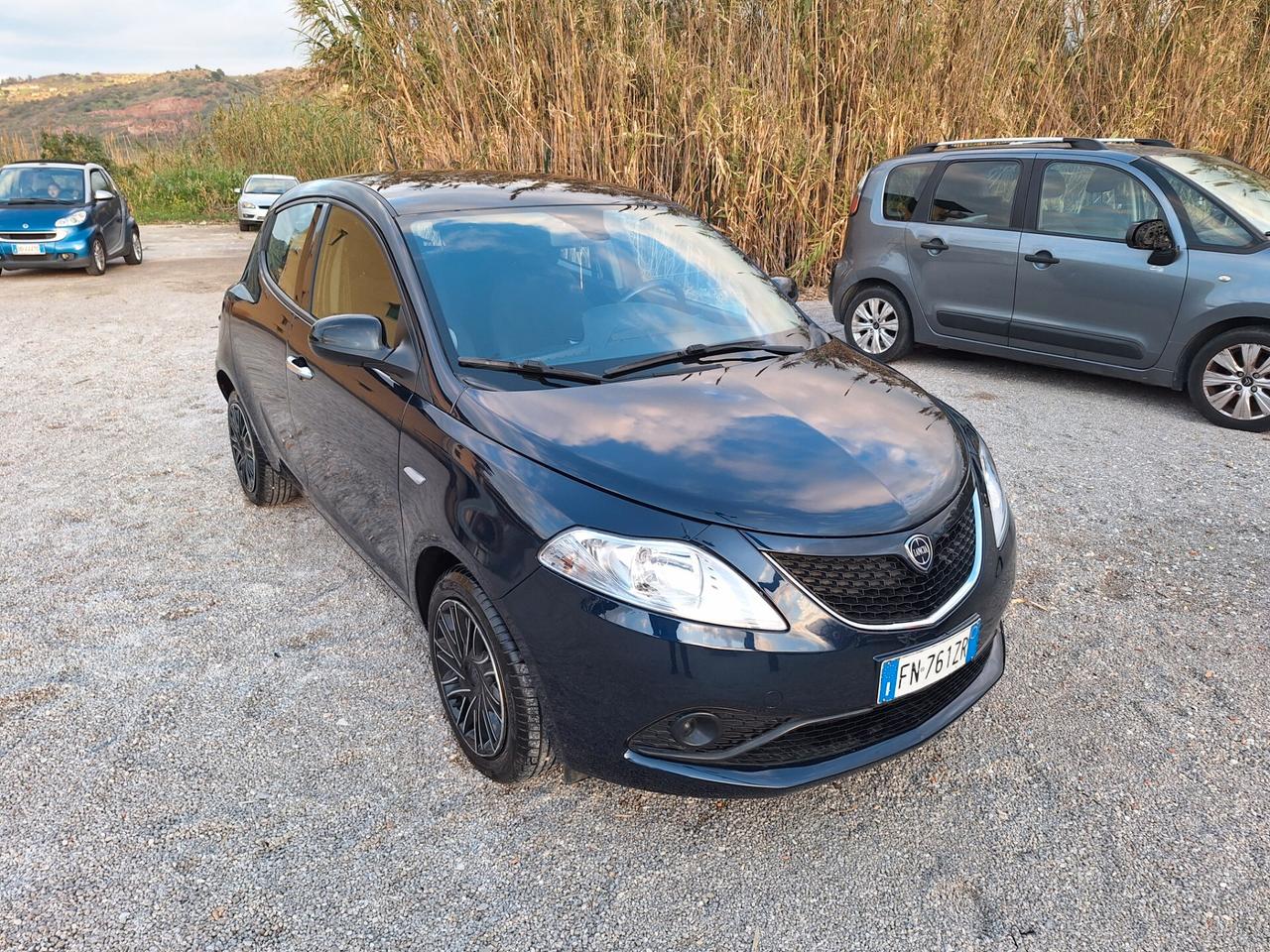 Lancia Ypsilon 1.2 69 CV 5 porte S&S Platinum