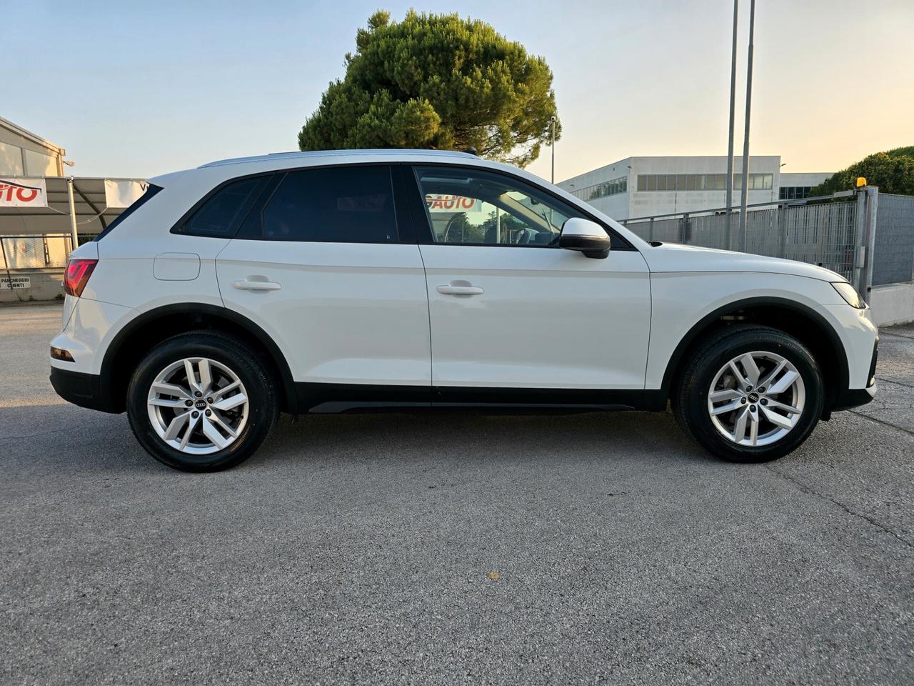Audi Q5 40 2.0 tdi mhev 12V Business quattro s-tronic - TETTO -