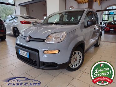 Fiat Panda 1.2 EasyPower- 2023