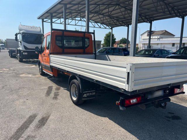 FORD Transit 350 2.0TDCi EcoBlue 170CV PM RWD Cab.Entry