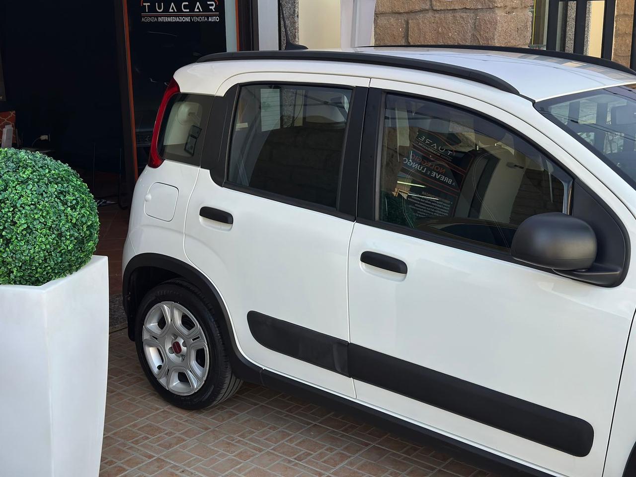 Fiat Panda 1.0 HYBRID MY24 #11654