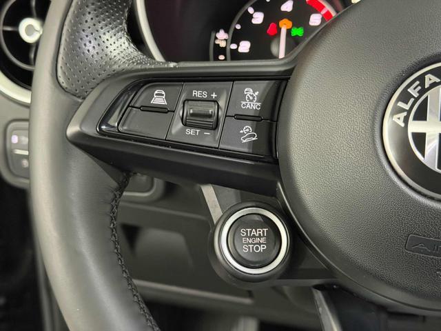 ALFA ROMEO Stelvio 2.2 Turbodiesel 190 CV AT8 Q4 Executive+PELLE