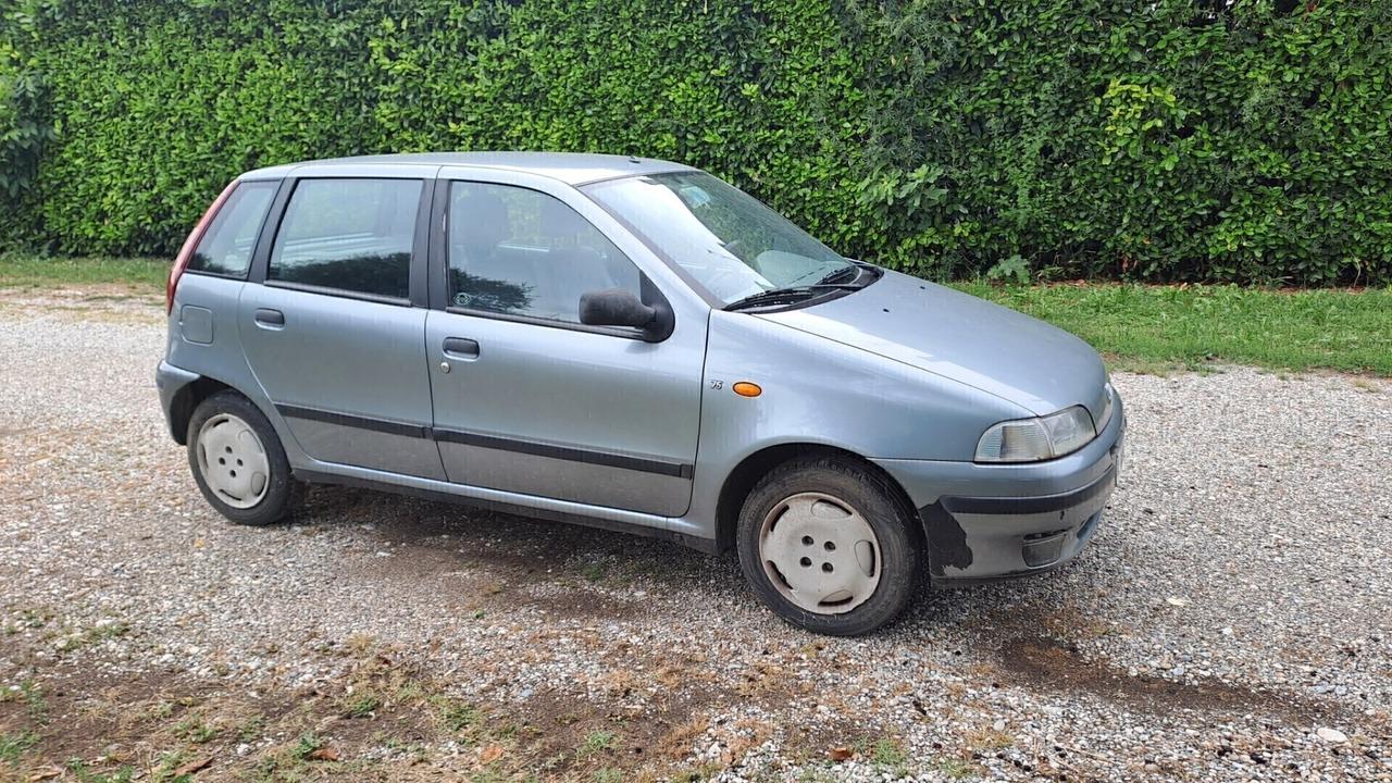 Fiat Punto 75 cat 5 porte ELX 1994 CLIMA