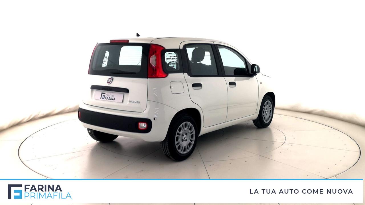 FIAT Panda III 2021 - Panda 1.0 firefly hybrid Pop s&s 70cv