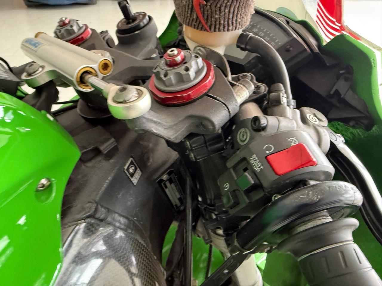 Kawasaki Ninja ZX - 10 R Pista