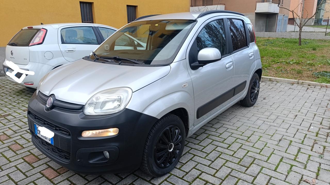Fiat Panda 1.2 Dynamic OK NEOPATENTATI