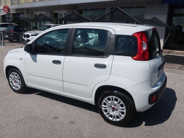 Fiat Panda Panda III 2016 1.2 Easy s&s