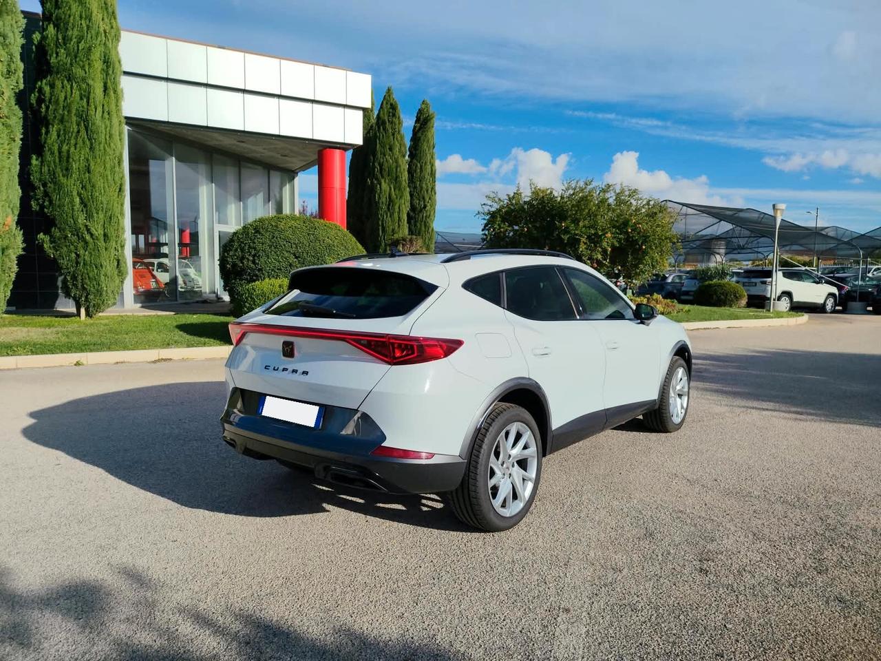 Cupra Formentor 2.0 TDI 4Drive DSG