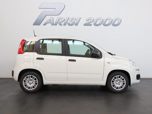 FIAT Panda 1.0 FireFly S&S Hybrid *PROMO PARISI GROUP*