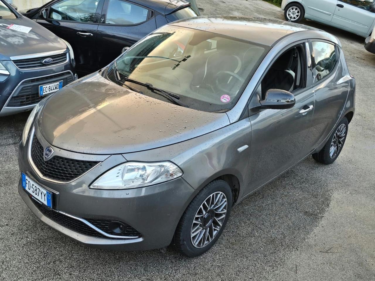 Lancia Ypsilon 1.3 MJT 16V 95 CV 5 porte S&S Platinum
