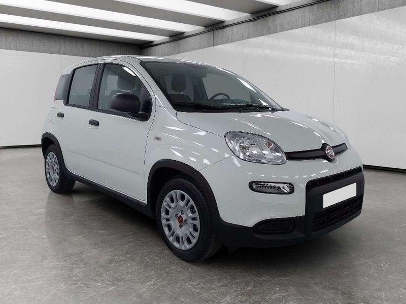 FIAT Panda 1.0 firefly hybrid s&s 70cv 5p.ti