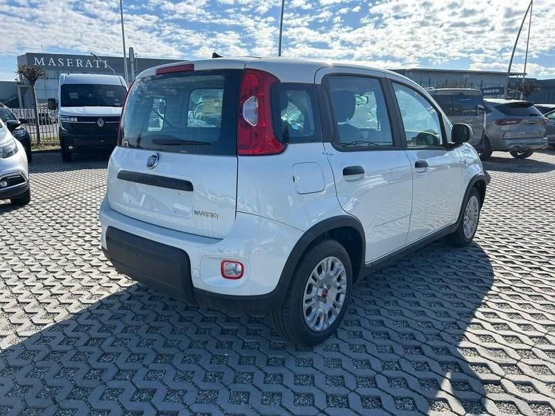 FIAT Panda 1.0 firefly hybrid s&s 70cv