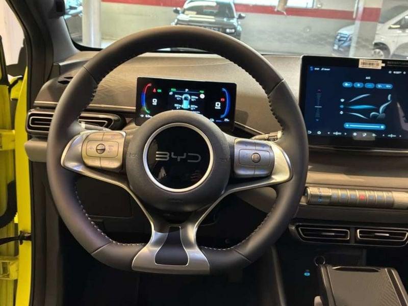 BYD Dolphin Surf Active