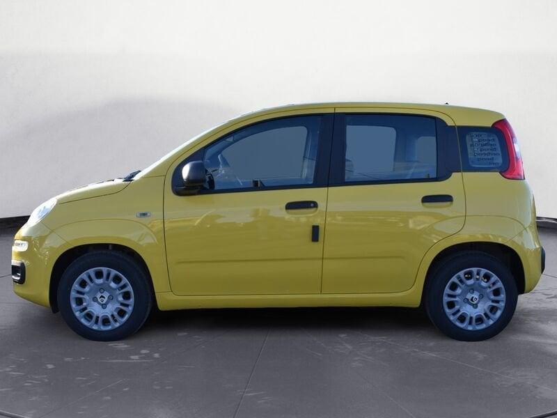 FIAT Panda Panda 1.0 FireFly S&S Hybrid Pop