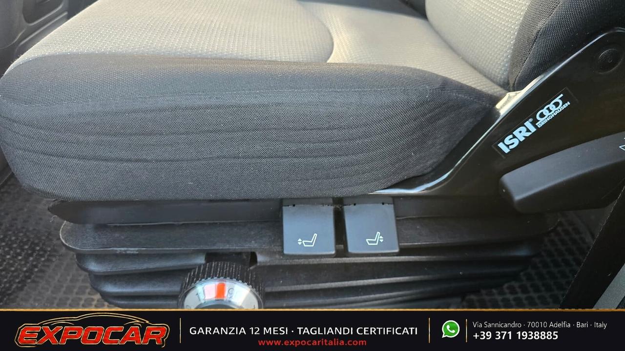 Iveco Daily - Trasporto Cavalli