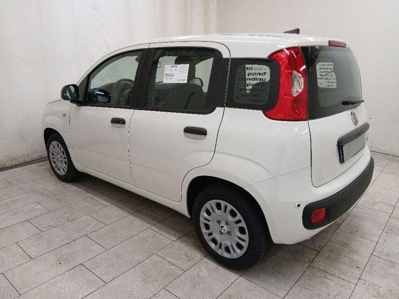 FIAT Pandina 1.0 firefly hybrid Icon s&s 70cv 5p.ti