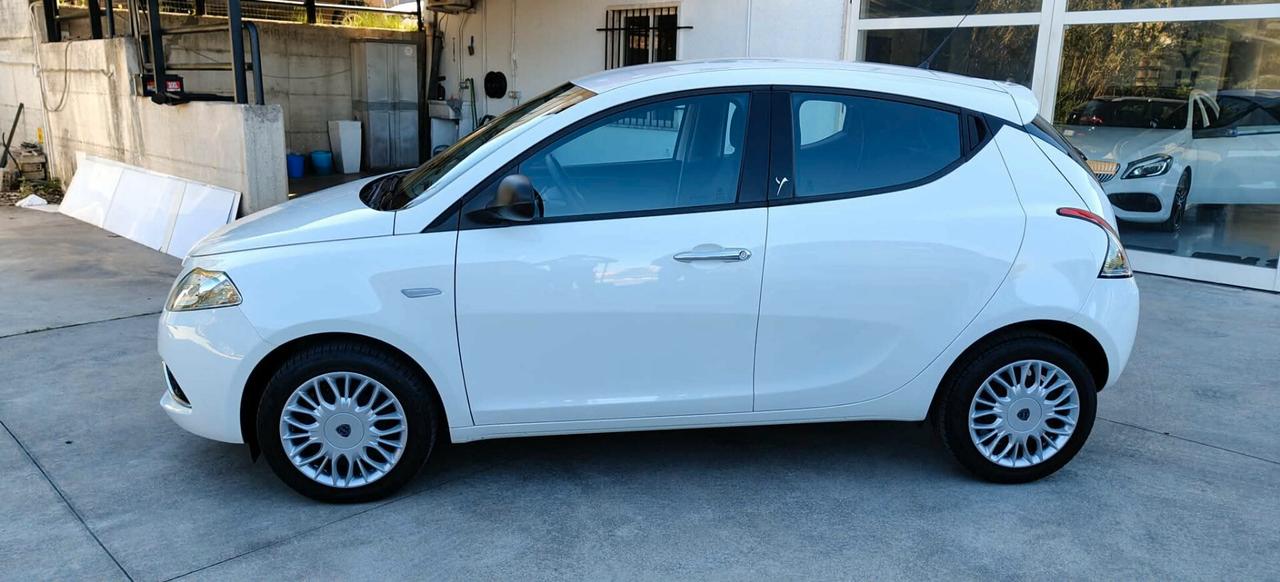 Lancia Ypsilon 1.2 69 CV "KM 41000"