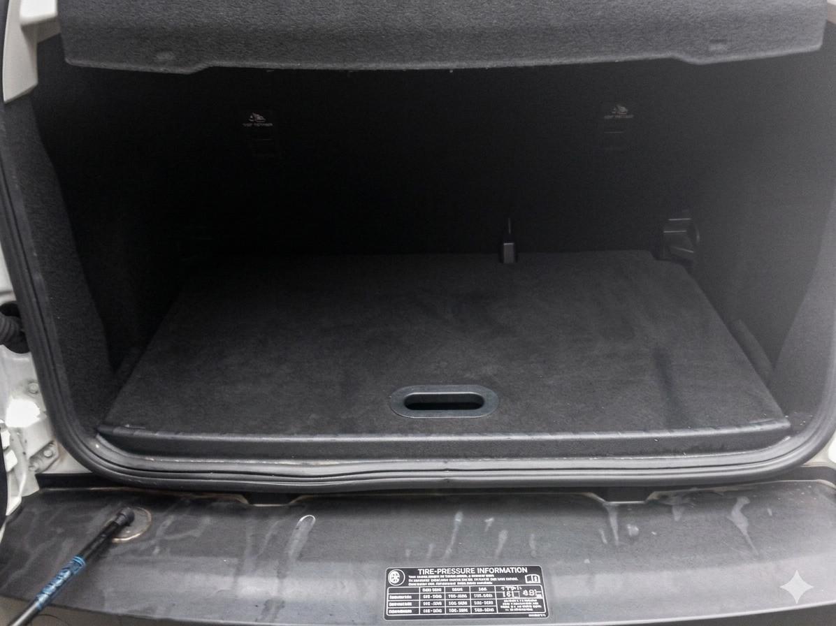 FORD EcoSport - 1.0 EcoBoost 125 CV Start&Stop ST-Line