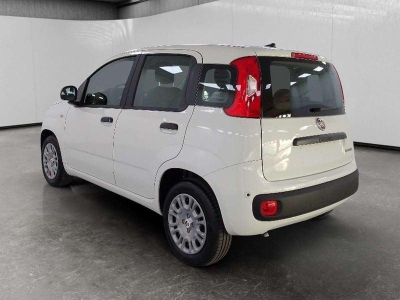 FIAT Pandina 1.0 firefly hybrid Icon s&s 70cv 5p.ti