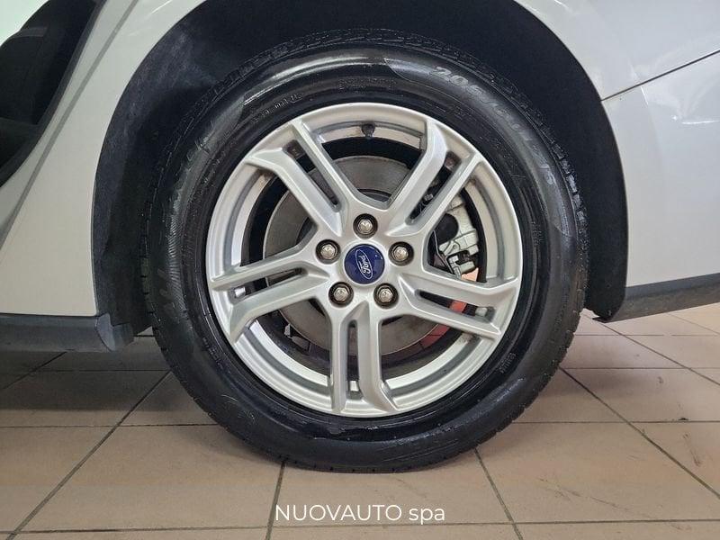Ford Focus Focus 1.5 EcoBlue 120 CV SW Business