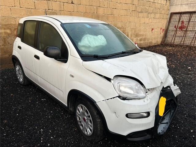 Fiat Panda 2024 1.0 FireFly S&S Hybrid incidentata sinistrata