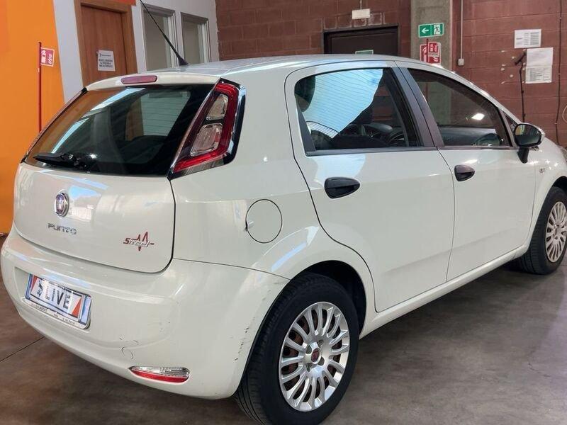 FIAT Punto 1.2 8V 5 porte Street