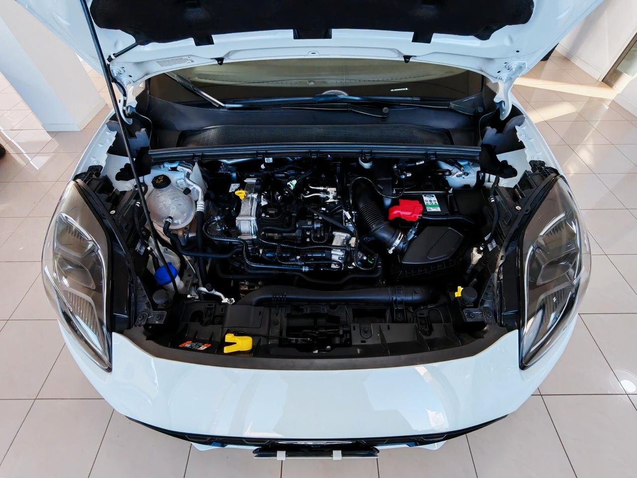 Ford Puma 1.0 EcoBoost H 125cv STLine 2025