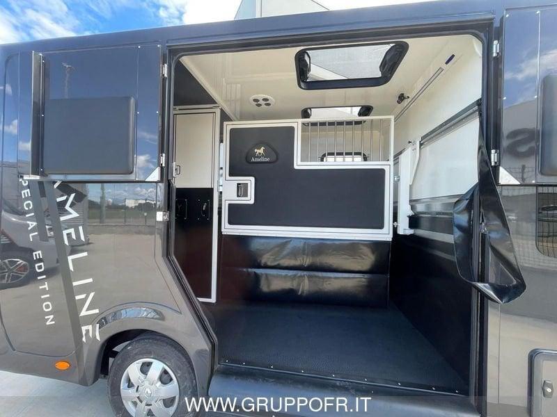 Renault Master RENAULT MASTER AMELINE 165 CV HARAS 5 POSTI NETTO IVA
