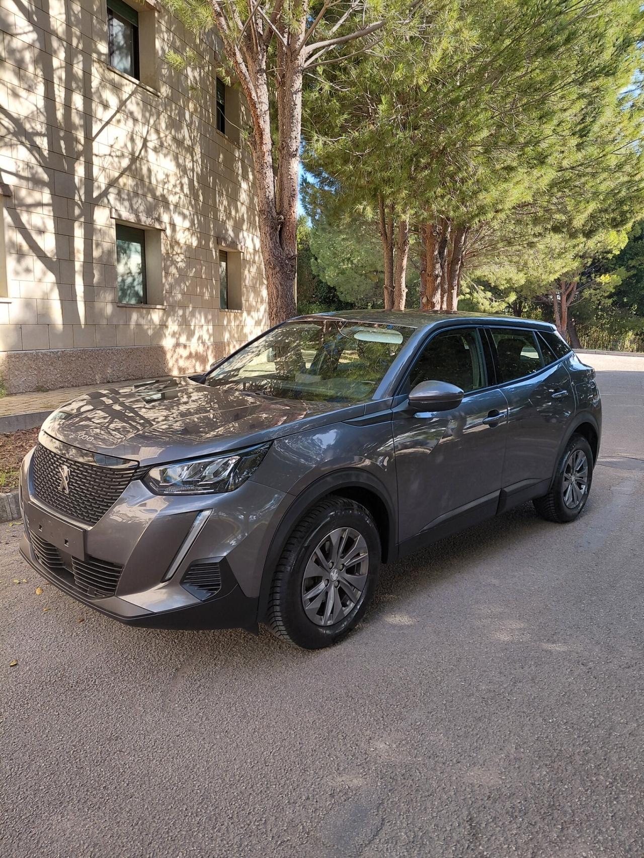 Peugeot 2008 BlueHDi 110 S&S Active Pack