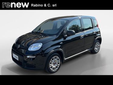 FIAT Panda Panda 1.0 FireFly S&S Hybrid City Life