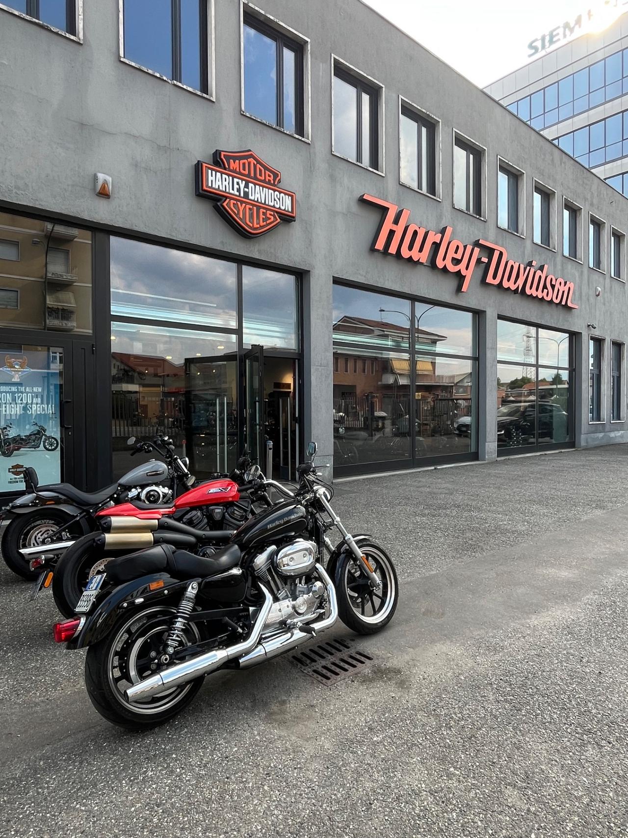 Harley-davidson 883 Superlow