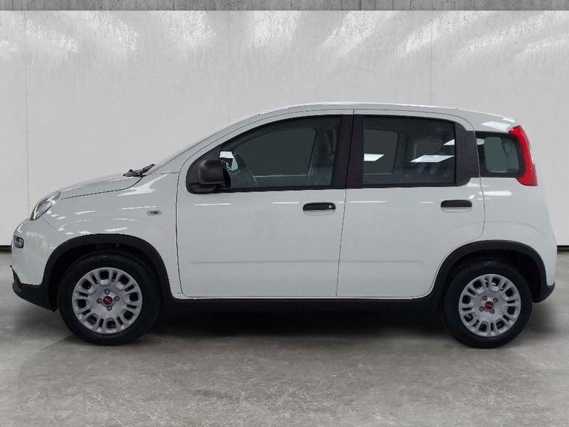 FIAT Panda 1.0 firefly hybrid s&s 70cv 5p.ti