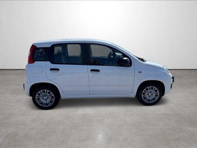 FIAT Pandina 1.0 FireFly 65 CV Hybrid Icon