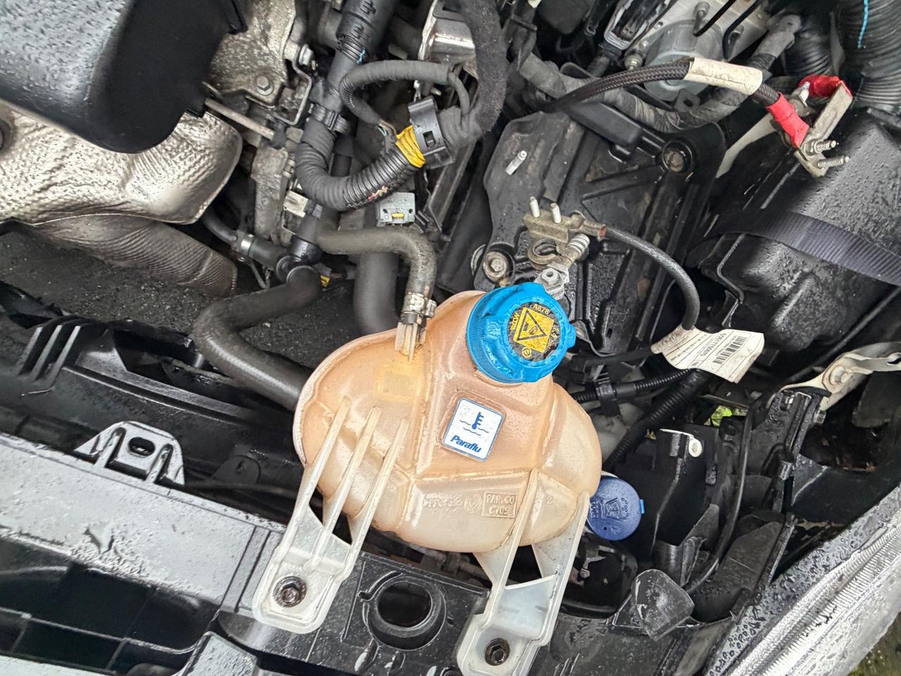 Fiat Punto 1.2 8V 5 porte km 90.000 - 2016 euro6