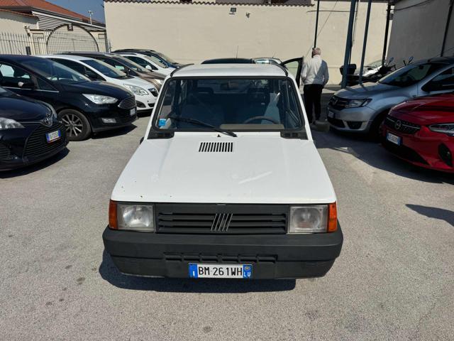 FIAT Panda 1ª serie 900 i.e. cat Young