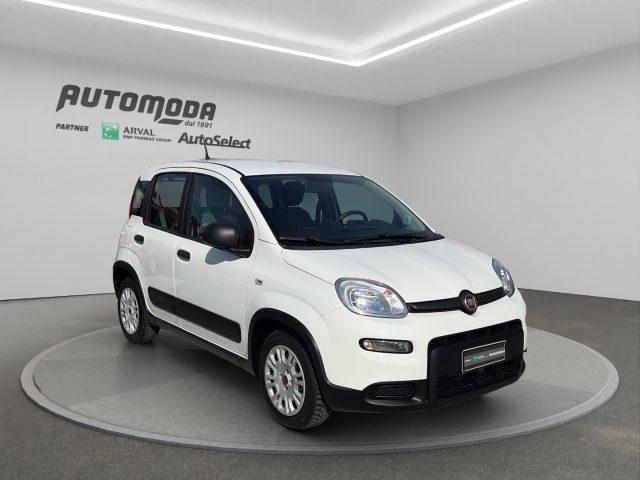 FIAT Panda 1.0 HYBRID 4 POSTI N1 AUTOCARRO