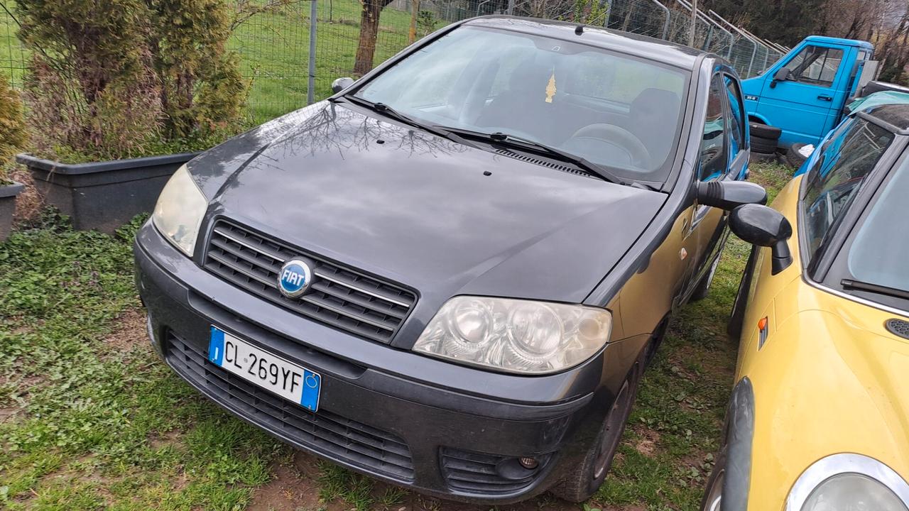 Fiat Punto 1.2i cat 5 porte Feel