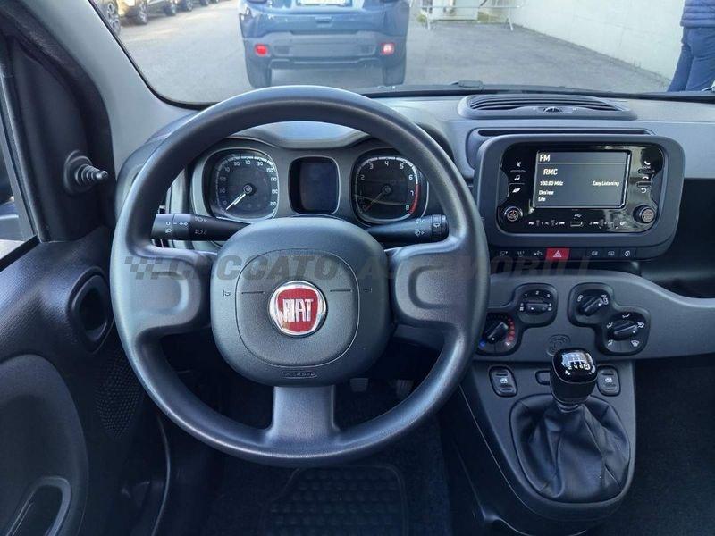 FIAT Panda Panda 1.0 firefly hybrid City Life s&s 70cv 5p.ti