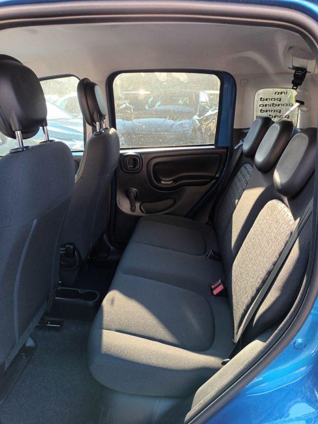 FIAT Panda 1000 HYBRID PANDINA 70 CV CARPLAY PDC ITALIA