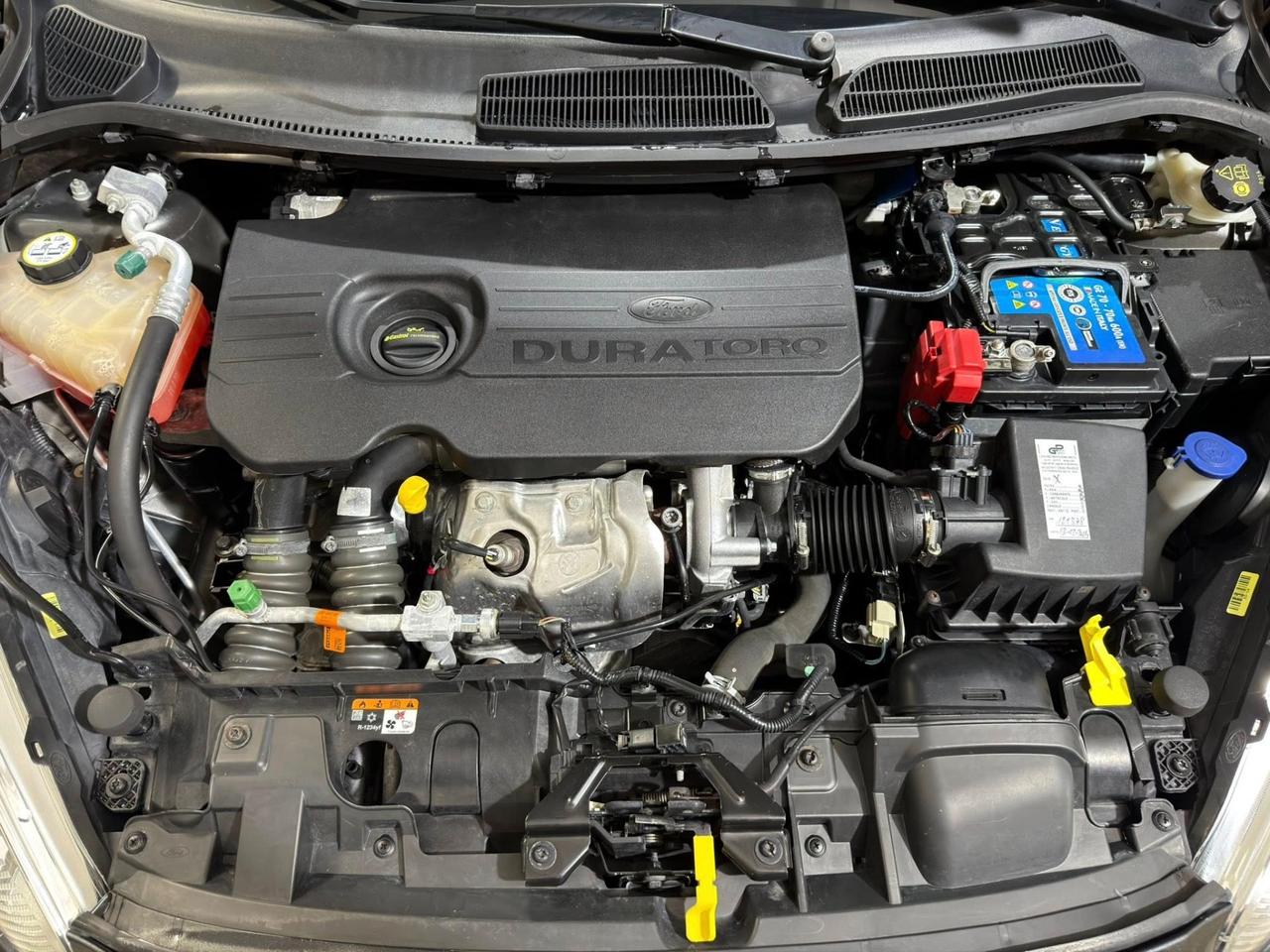 Ford Fiesta 1.5 TDCi 75CV 3 porte Titanium