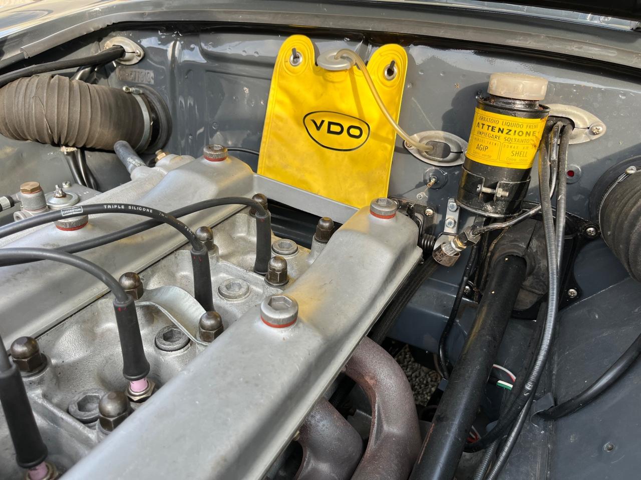 Alfa Romeo Giulia Spider