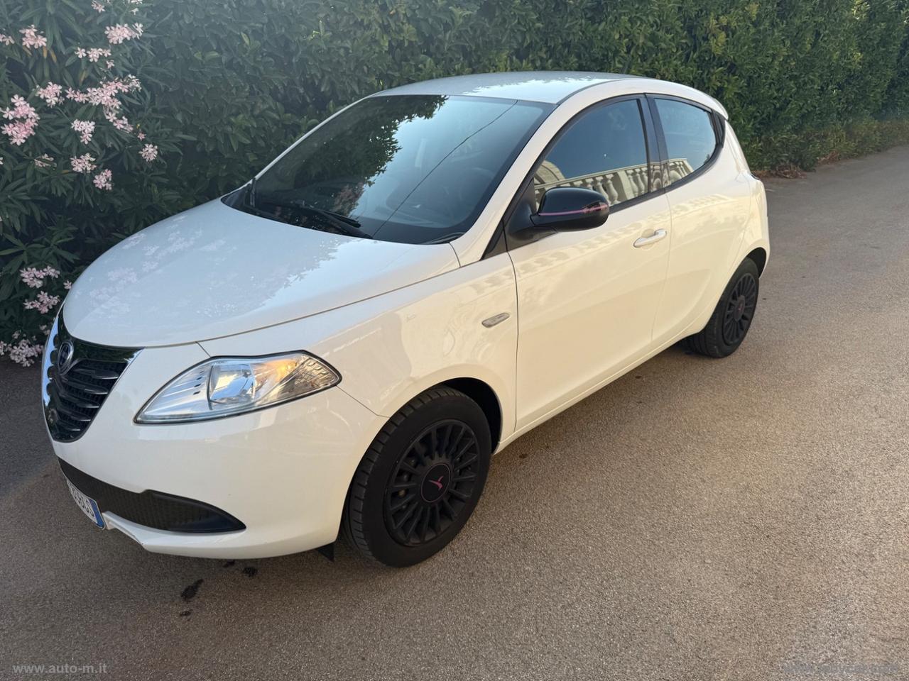 LANCIA Ypsilon 1.2 69 CV 5p. Elefantino