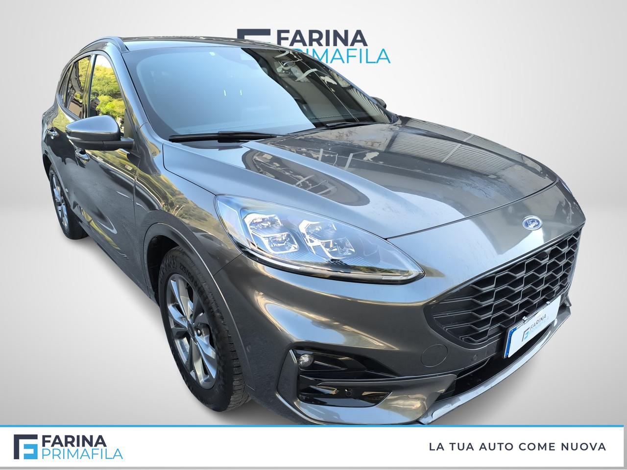 FORD Kuga III 2020 - Kuga 2.5 full hybrid ST-Line X 2wd 190cv cvt