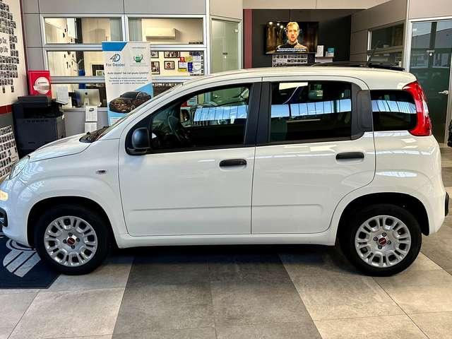 Fiat Panda Panda 1.2 Easy s