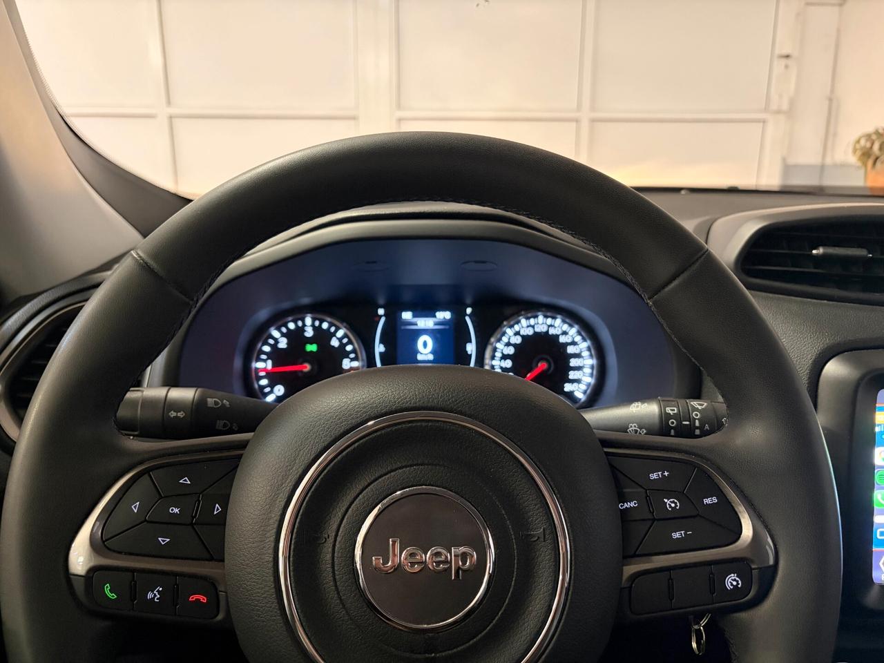 Jeep Renegade 1.6 Mjt 130 CV Longitude