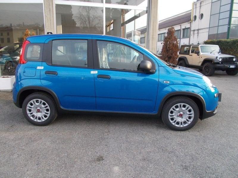 FIAT Panda 1.0 FireFly S&S Hybrid 338.7575187 MASSARI MARCO