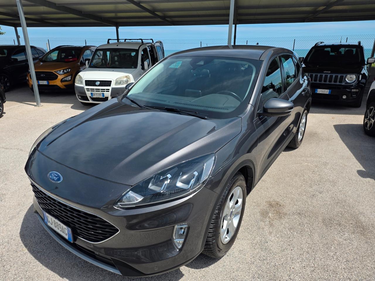 Ford Kuga 1.5 EcoBlue 120 CV 2WD Connect Edition
