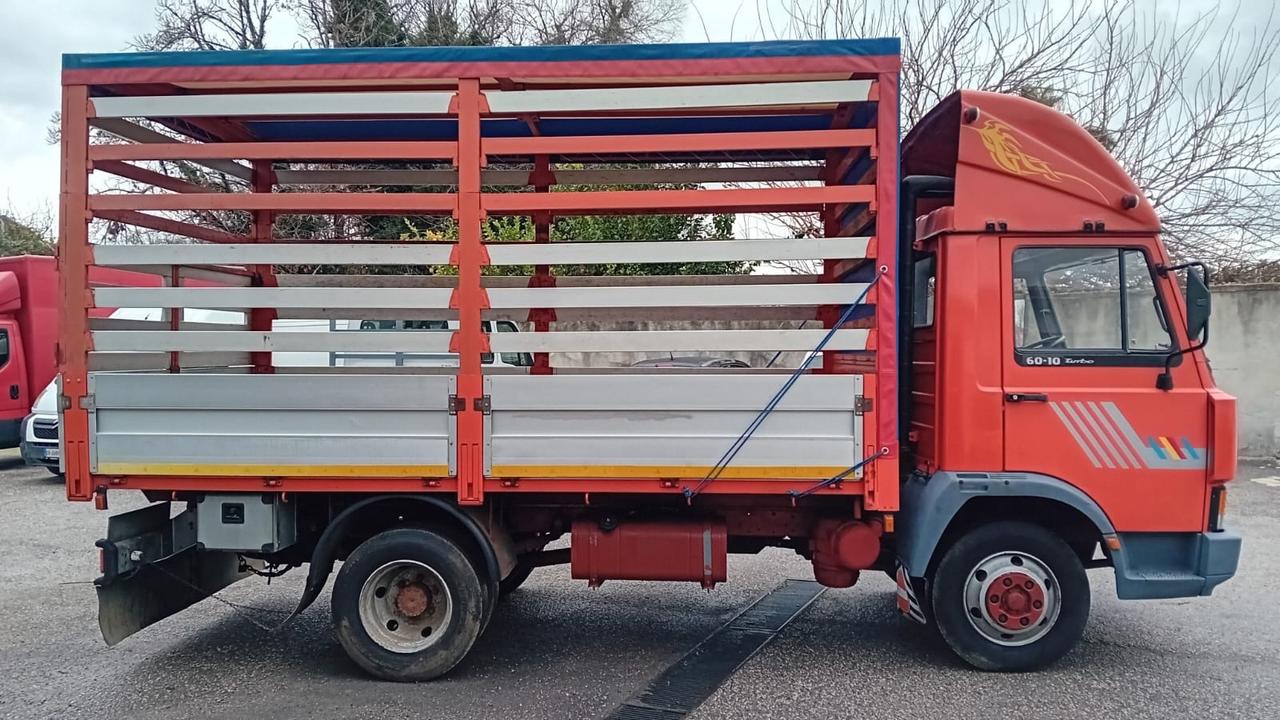 Iveco Seleziona Iveco turbo zeta 50-10-cassone con centina -1984