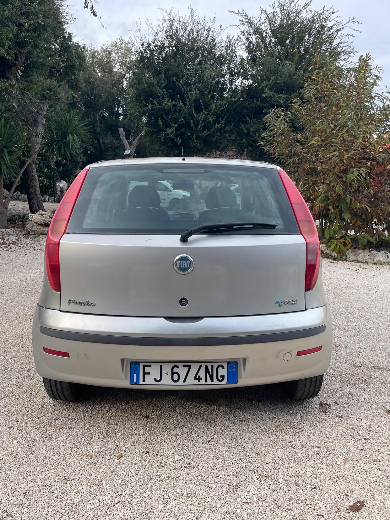 Punto 1.2 Natural Power GUARNIZIONE TESTATA