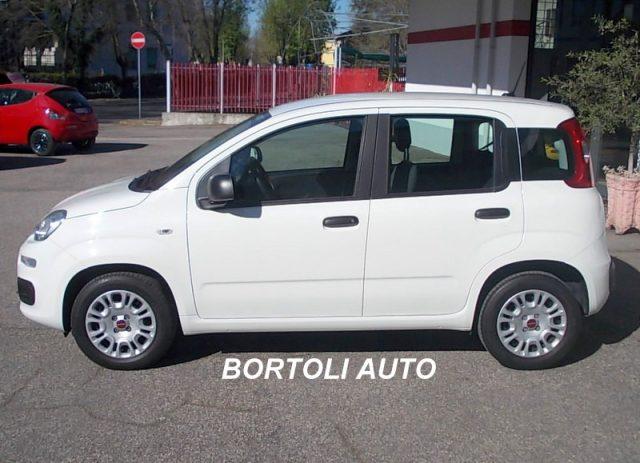 FIAT Panda 1.2 GPL 21.000 KM EASY POWER IDONEA NEOPATENTATI